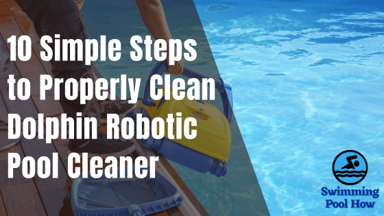 How to Clean Dolphin Pool Cleaner – 10 Easy Cleaning Steps to Follow