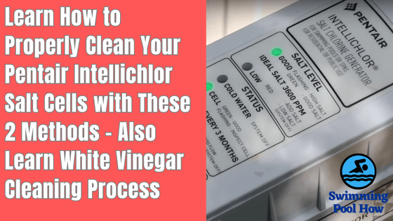 How to Clean Pentair Intellichlor Salt Cell? – 2 Main Cleaning Methods to Improve its Life Span