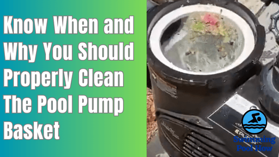 how often to clean pool pump basket
