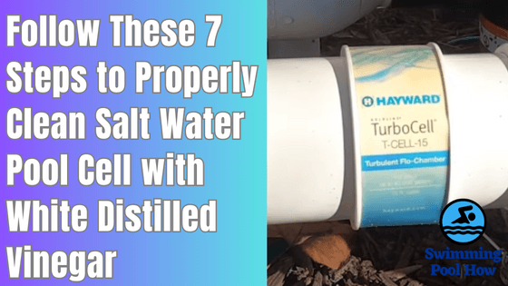 How to Clean Salt Water Pool Cell with Vinegar – 7 Simple Steps to Safely Clean Saltwater Pool Cells